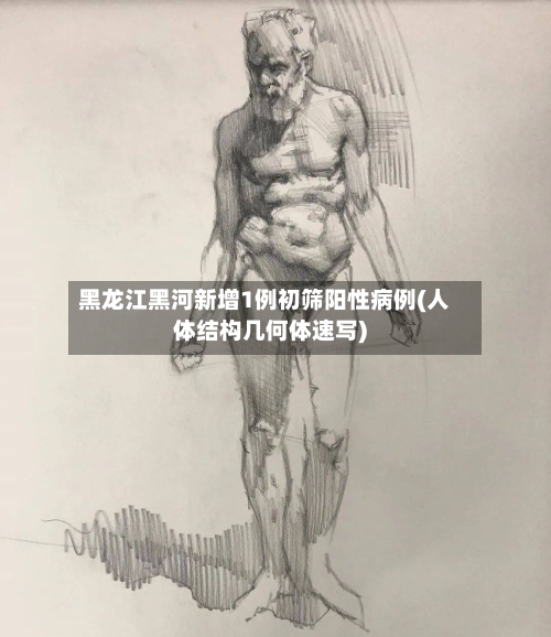 黑龙江黑河新增1例初筛阳性病例(人体结构几何体速写)-第2张图片