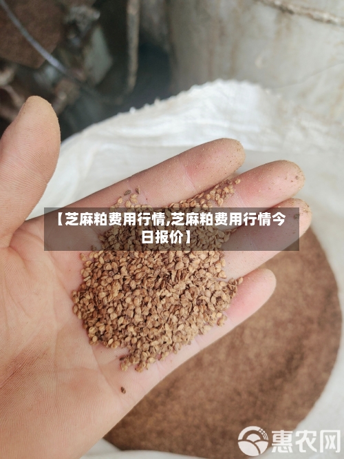 【芝麻粕费用行情,芝麻粕费用行情今日报价】
