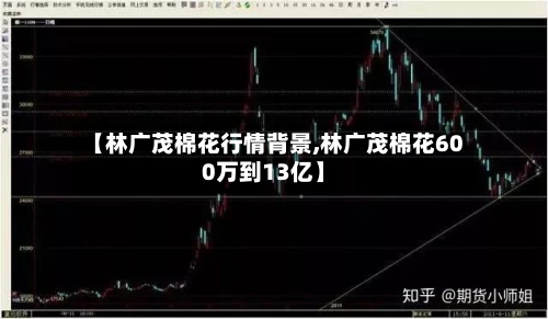 【林广茂棉花行情背景,林广茂棉花600万到13亿】-第3张图片