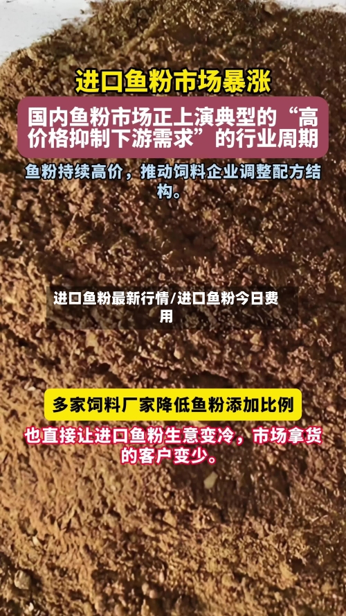 进口鱼粉最新行情/进口鱼粉今日费用