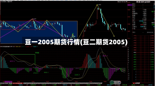 豆一2005期货行情(豆二期货2005)-第2张图片