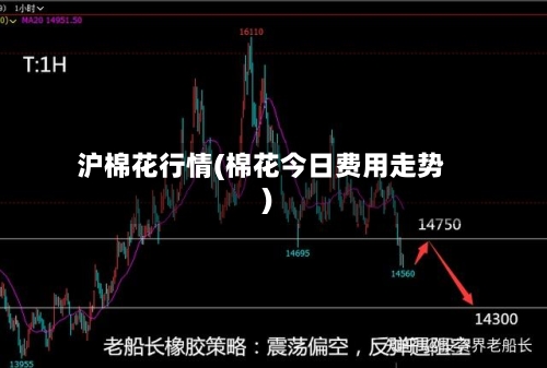 沪棉花行情(棉花今日费用走势)