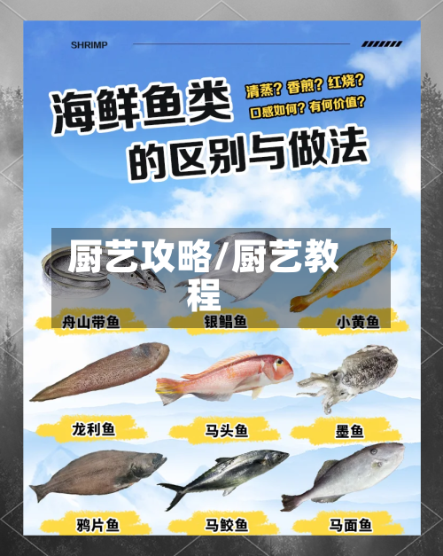 厨艺攻略/厨艺教程