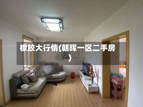 橡胶大行情(朝晖一区二手房)