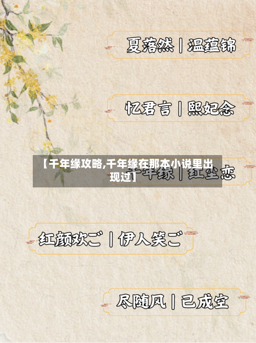 【千年缘攻略,千年缘在那本小说里出现过】-第3张图片