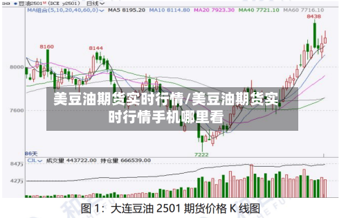 美豆油期货实时行情/美豆油期货实时行情手机哪里看