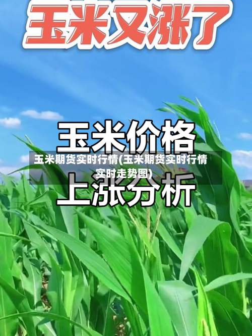 玉米期货实时行情(玉米期货实时行情实时走势图)