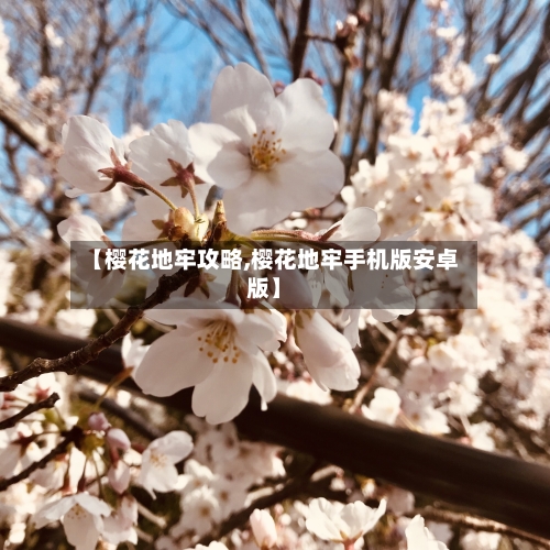 【樱花地牢攻略,樱花地牢手机版安卓版】-第3张图片
