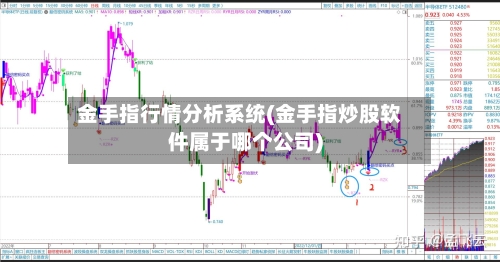 金手指行情分析系统(金手指炒股软件属于哪个公司)