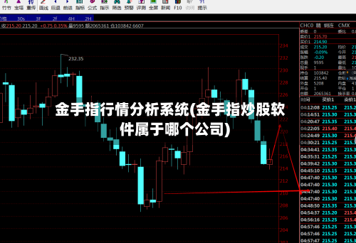 金手指行情分析系统(金手指炒股软件属于哪个公司)-第3张图片