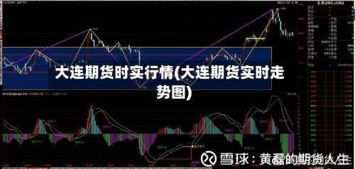大连期货时实行情(大连期货实时走势图)