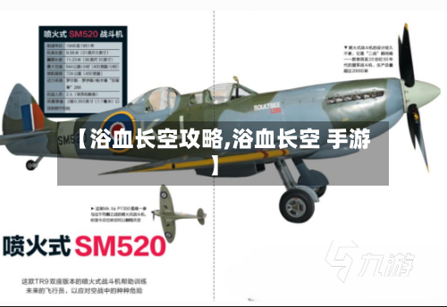 【浴血长空攻略,浴血长空 手游】