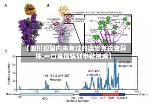 【四川现国内未有过的奥密克戎变异株,一口高压锅划拳歌视频】-第2张图片