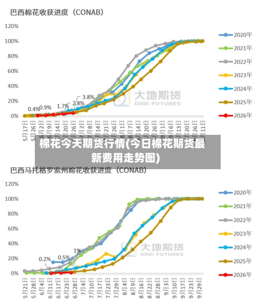 棉花今天期货行情(今日棉花期货最新费用走势图)