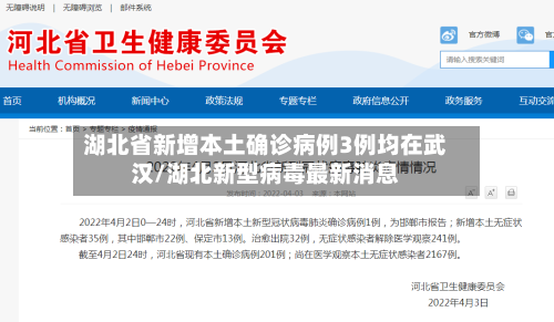 湖北省新增本土确诊病例3例均在武汉/湖北新型病毒最新消息