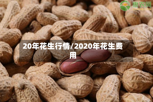 20年花生行情/2020年花生费用-第3张图片