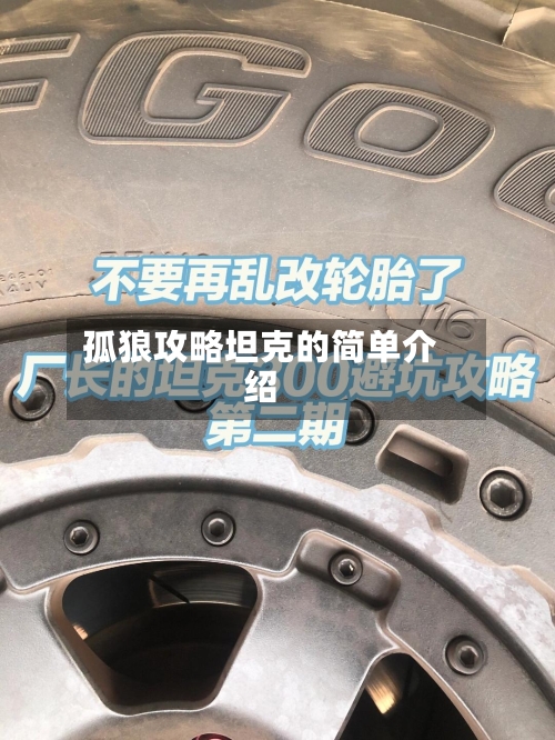 孤狼攻略坦克的简单介绍-第2张图片