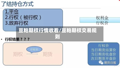 豆粕期权行情收看/豆粕期权交易规则