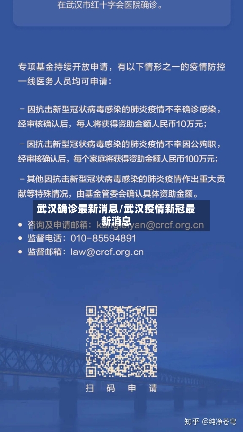 武汉确诊最新消息/武汉疫情新冠最新消息