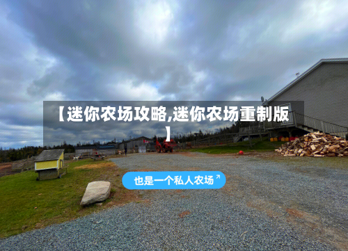 【迷你农场攻略,迷你农场重制版】