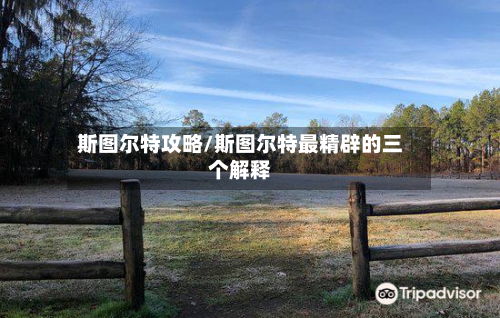 斯图尔特攻略/斯图尔特最精辟的三个解释