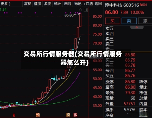 交易所行情服务器(交易所行情服务器怎么开)