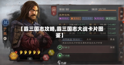 【霸三国志攻略,霸三国志大战卡片图鉴】