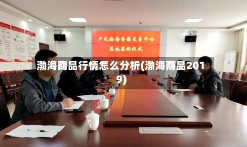 渤海商品行情怎么分析(渤海商品2019)-第3张图片