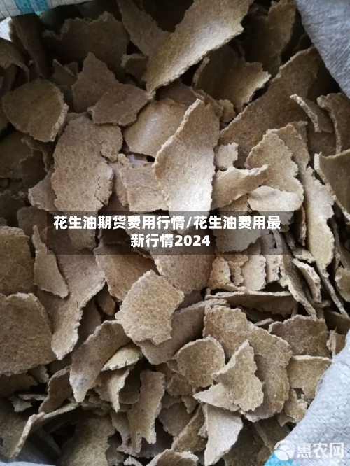 花生油期货费用行情/花生油费用最新行情2024