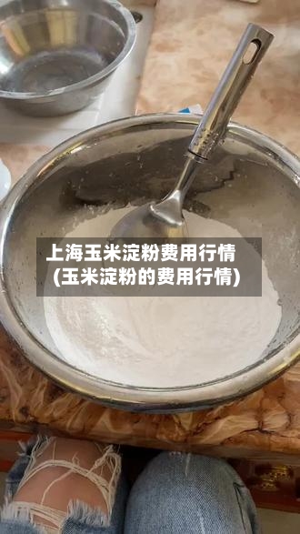 上海玉米淀粉费用行情(玉米淀粉的费用行情)-第3张图片