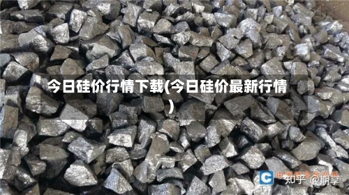 今日硅价行情下载(今日硅价最新行情)-第2张图片