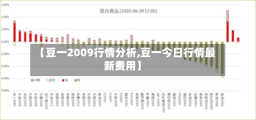 【豆一2009行情分析,豆一今日行情最新费用】