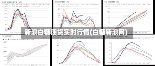新浪白糖期货实时行情(白糖新浪网)