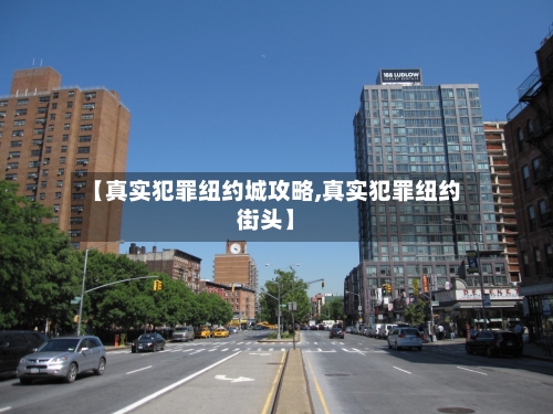 【真实犯罪纽约城攻略,真实犯罪纽约街头】