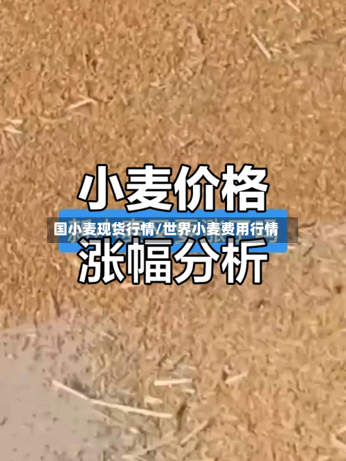 国小麦现货行情/世界小麦费用行情