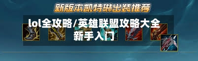 lol全攻略/英雄联盟攻略大全新手入门-第2张图片