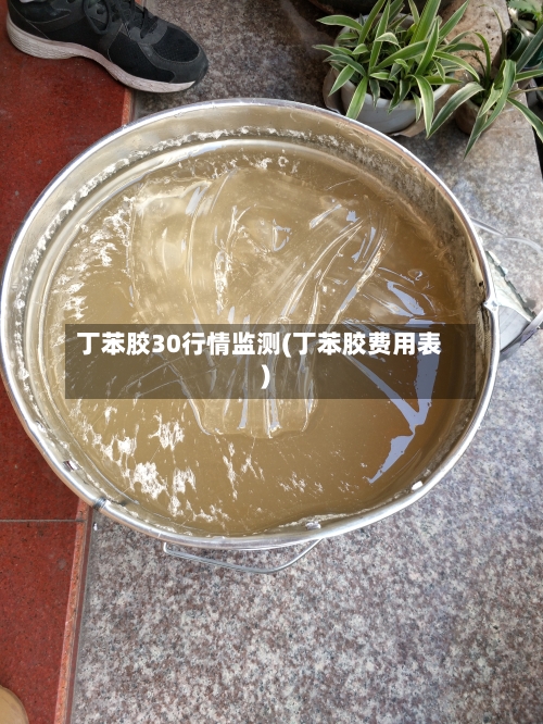 丁苯胶30行情监测(丁苯胶费用表)