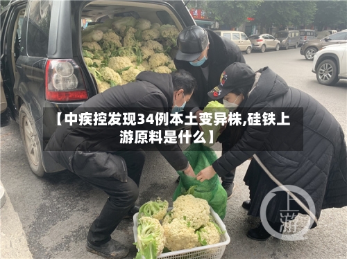 【中疾控发现34例本土变异株,硅铁上游原料是什么】