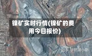镍矿实时行情(镍矿的费用今日报价)-第2张图片