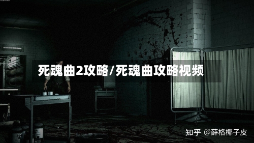死魂曲2攻略/死魂曲攻略视频