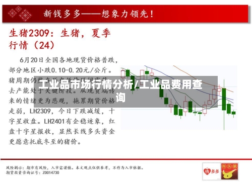 工业品市场行情分析/工业品费用查询