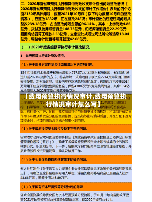 【费用预算执行情况审计,费用预算执行情况审计怎么写】-第2张图片