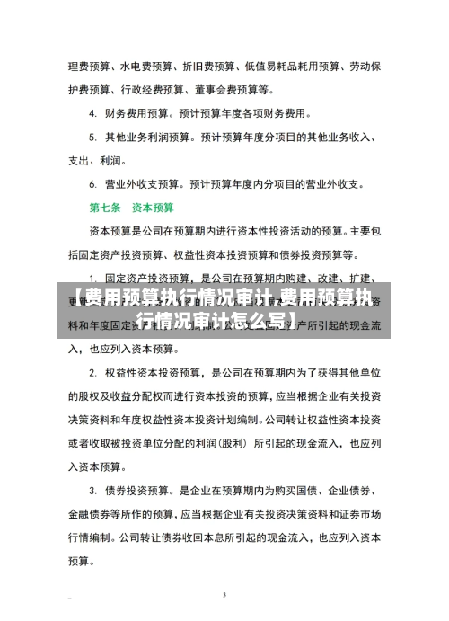 【费用预算执行情况审计,费用预算执行情况审计怎么写】