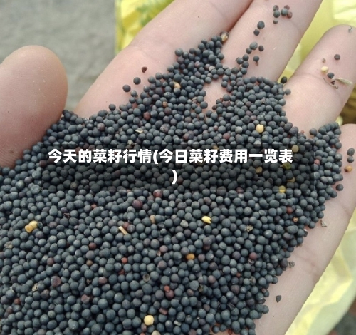 今天的菜籽行情(今日菜籽费用一览表)