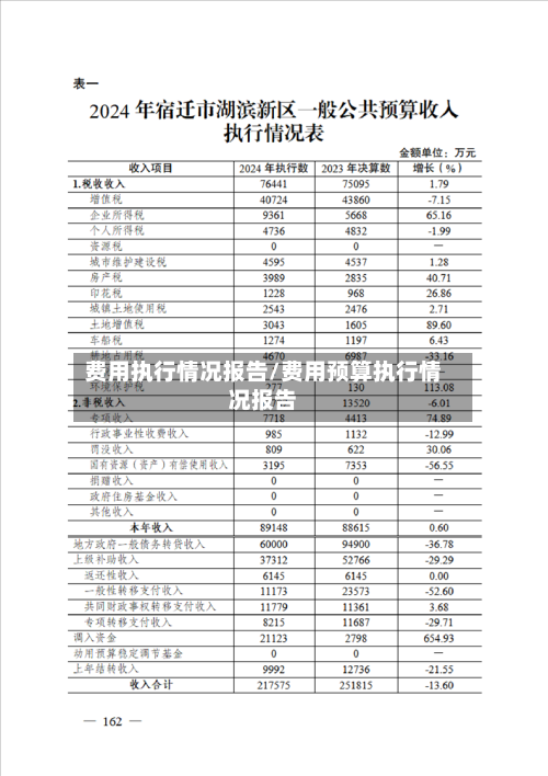 费用执行情况报告/费用预算执行情况报告-第3张图片