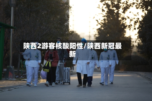 陕西2游客核酸阳性/陕西新冠最新-第2张图片