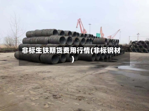 非标生铁期货费用行情(非标钢材)