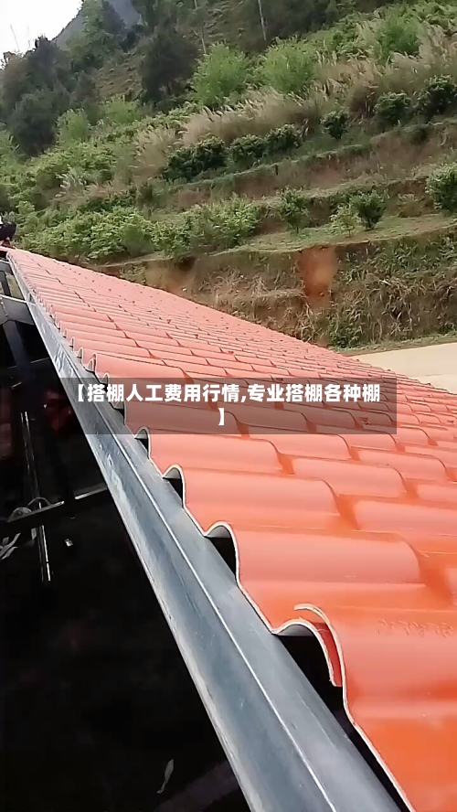 【搭棚人工费用行情,专业搭棚各种棚】