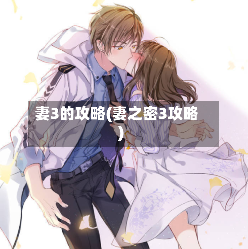 妻3的攻略(妻之密3攻略)-第2张图片