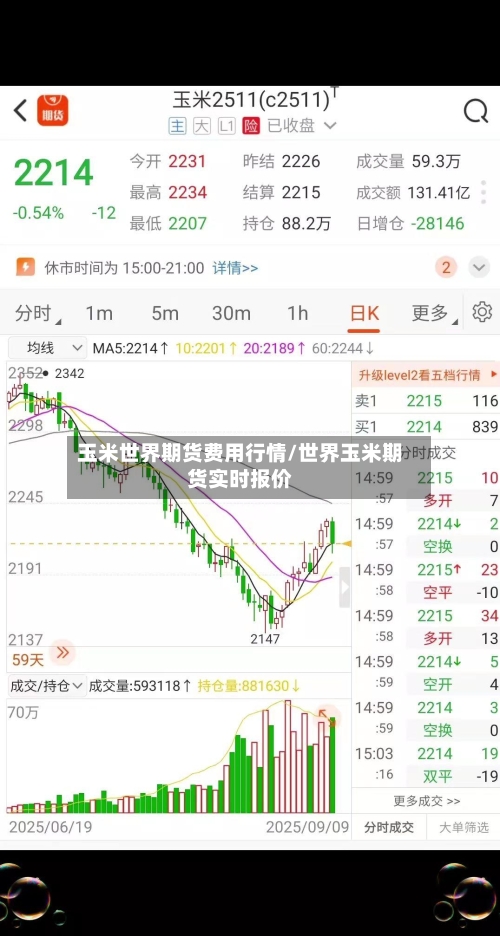 玉米世界期货费用行情/世界玉米期货实时报价-第3张图片